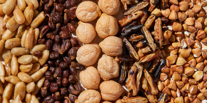 Adding a Seat at the Table for a More Robust Future of Food